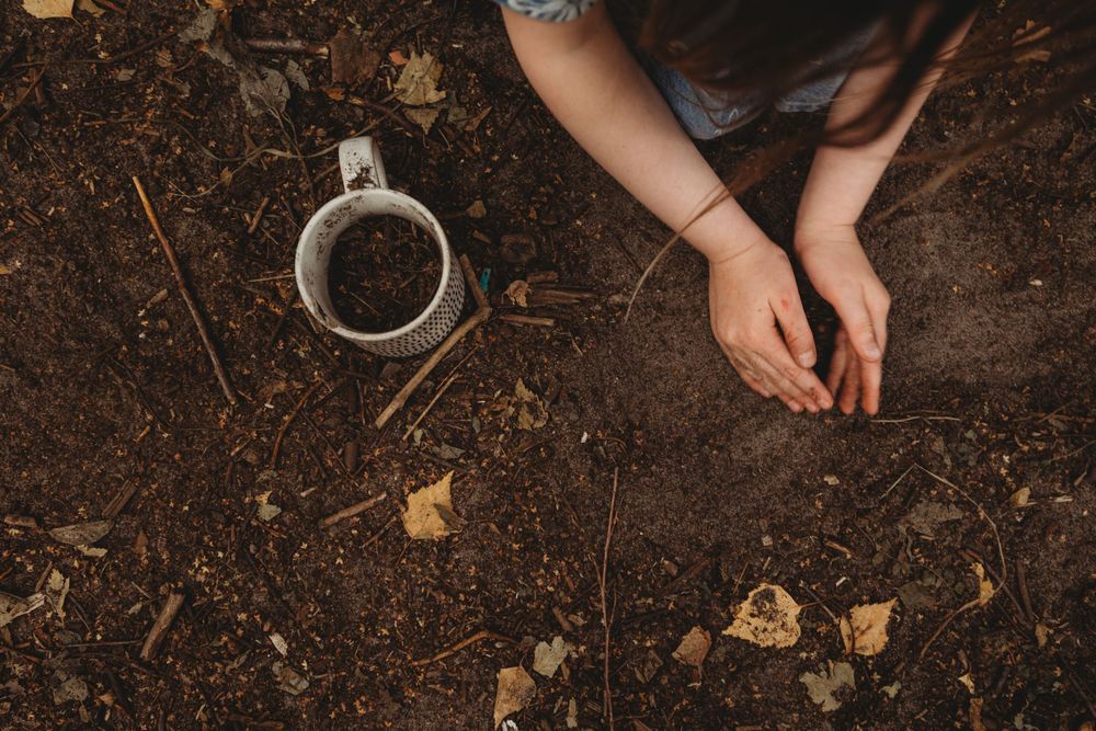 Hands planting seedlings in dark soil with a coffee mug nearby and scattered autumn leaves on the ground.