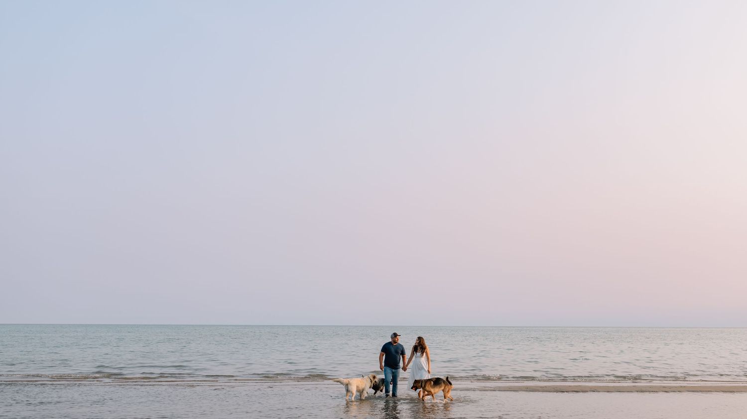 Two people walking dogs along a serene beach shoreline at sunset with calm ocean waves and pastel sky.
