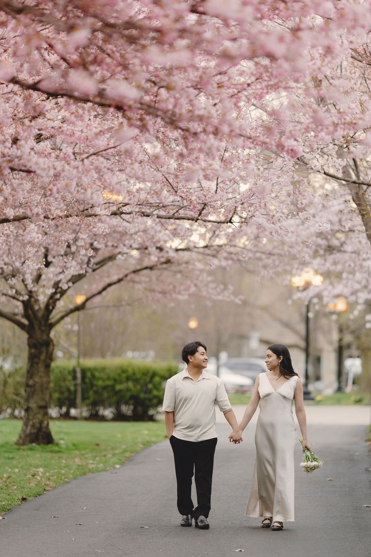cherry blossom engagement photoshoot in Toronto