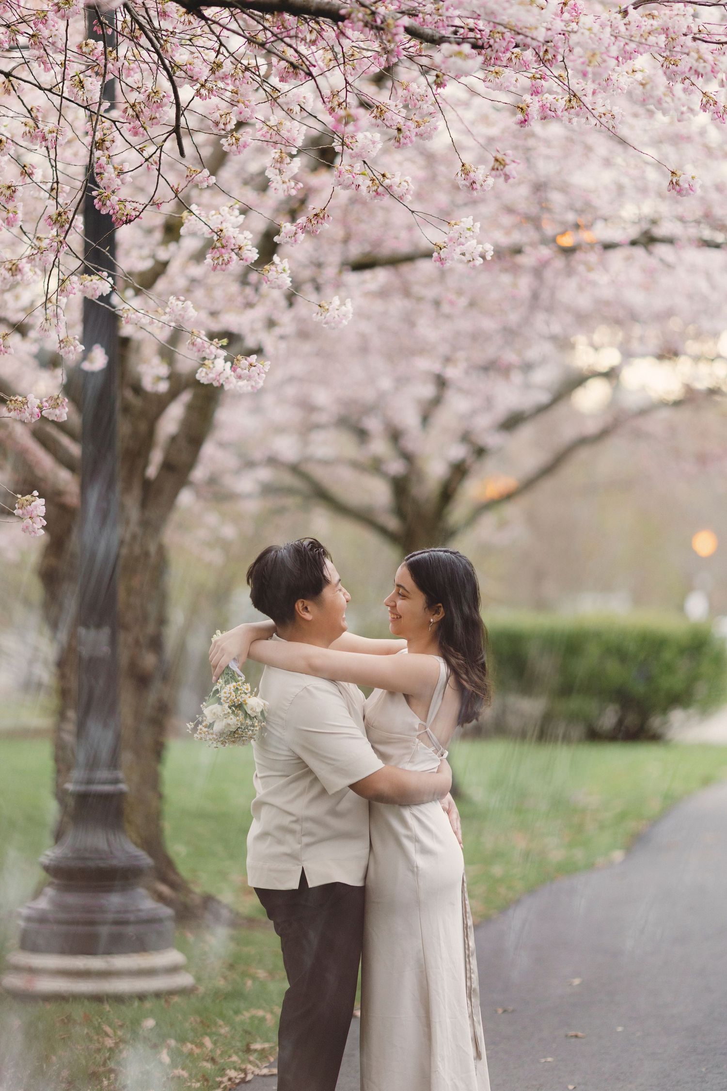 cherry blossom engagement photoshoot in Toronto