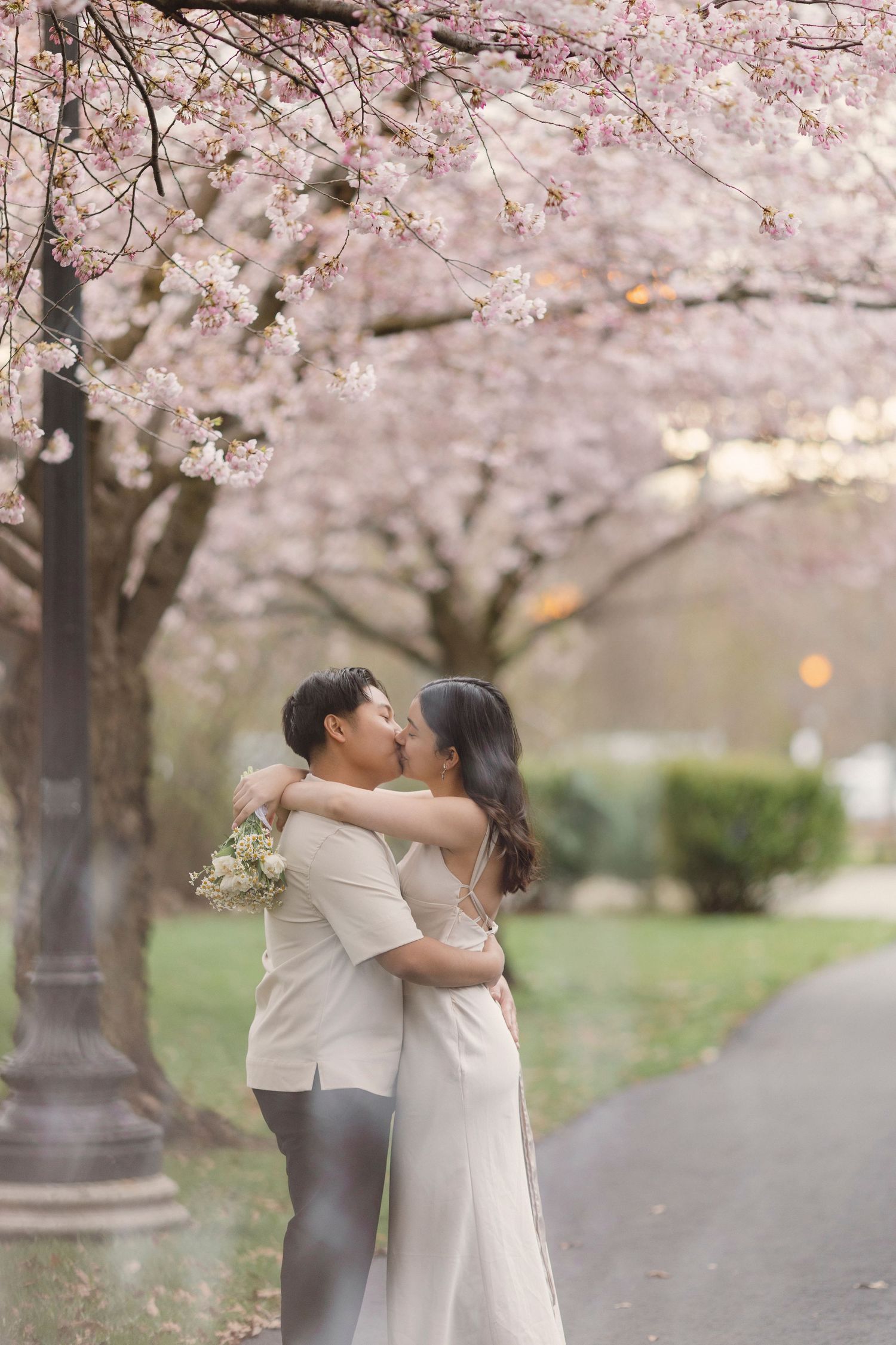 cherry blossom engagement photoshoot in Toronto