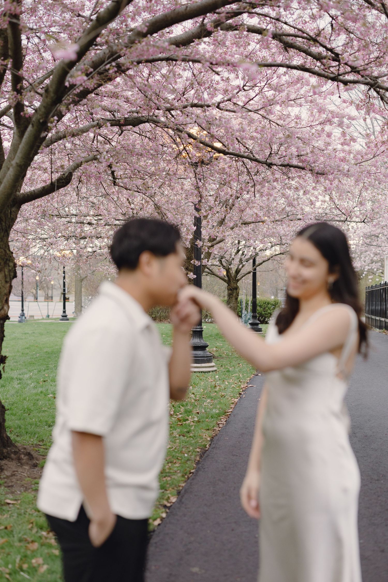 cherry blossom engagement photoshoot in Toronto