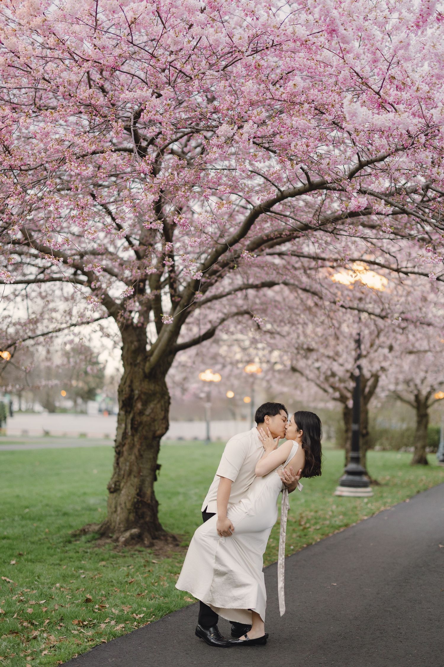 cherry-blossom-engagement-session-Toronto.jpg
 cherry blossom engagement photoshoot in Toronto