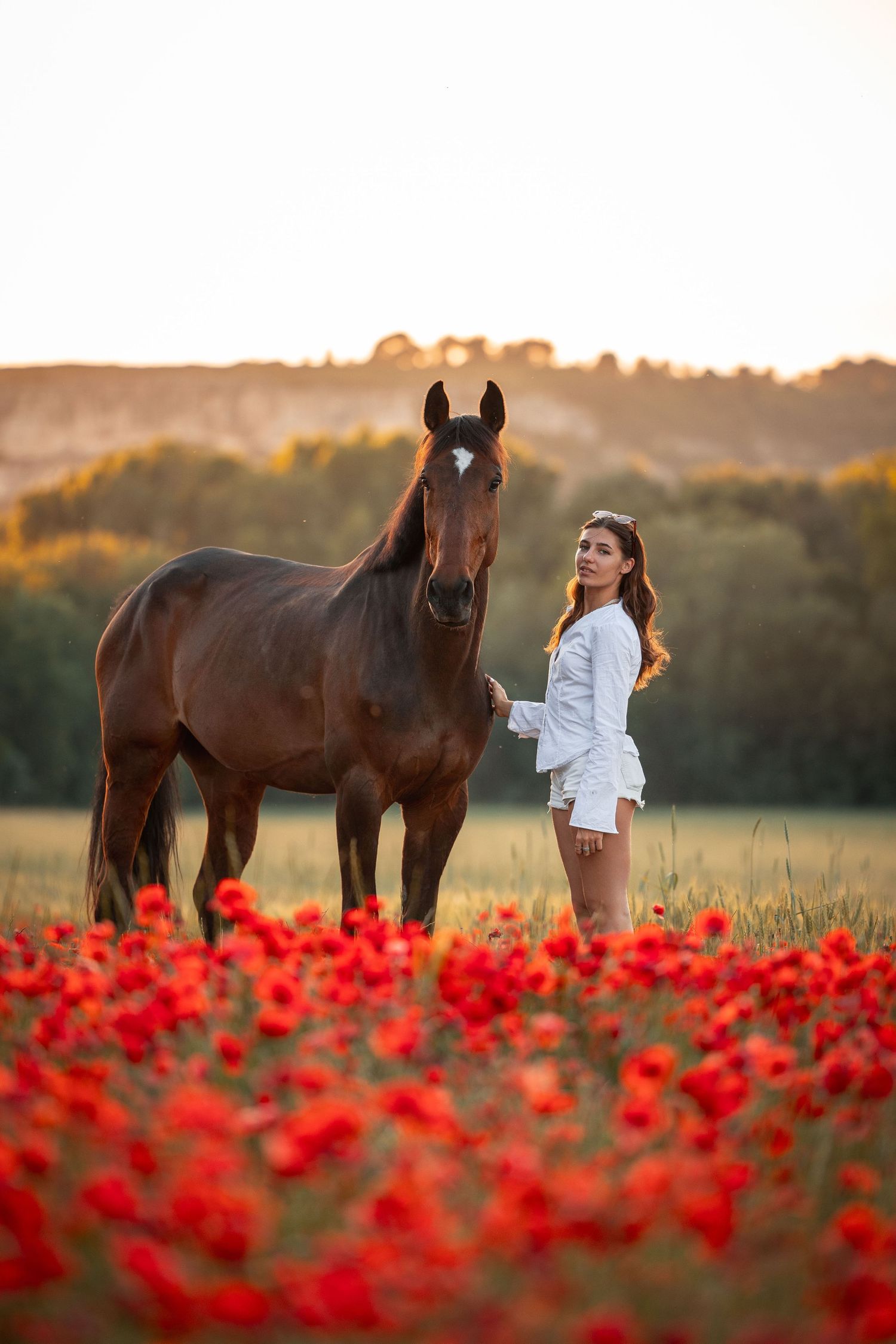 shooting équestre coquelicot Aix en Provence