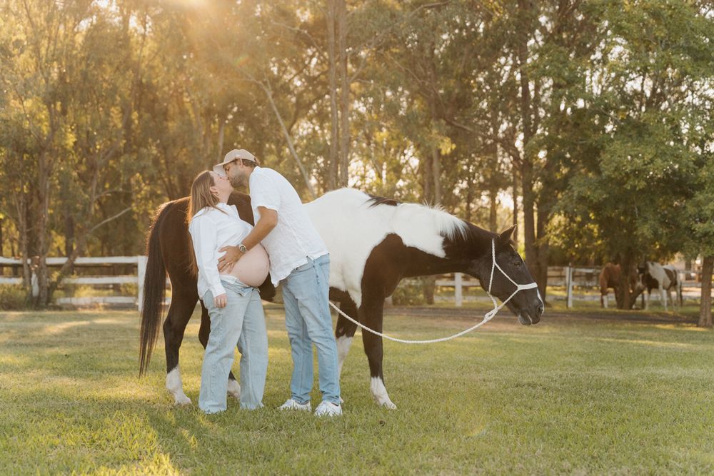 Couple sharing a kiss beside a paint horse in a sunlit green pasture during a golden hour maternity photo session with a horse in sydney
