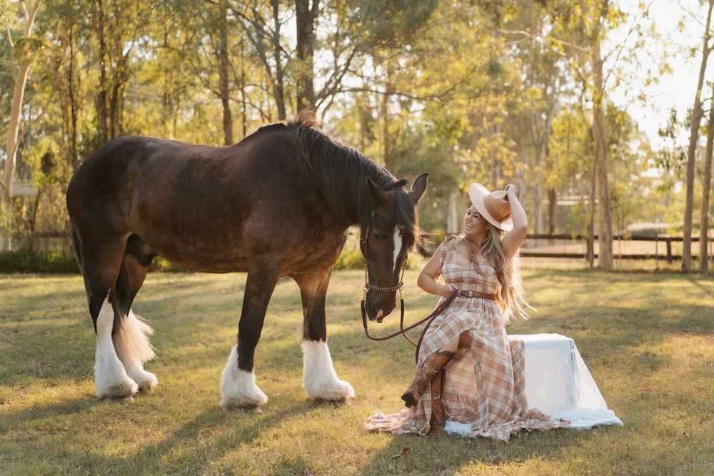 Woman in dress and hat sitting beside a dark brown shire horse with white feathers on a sunny farm photoshoot in sydney with a horse