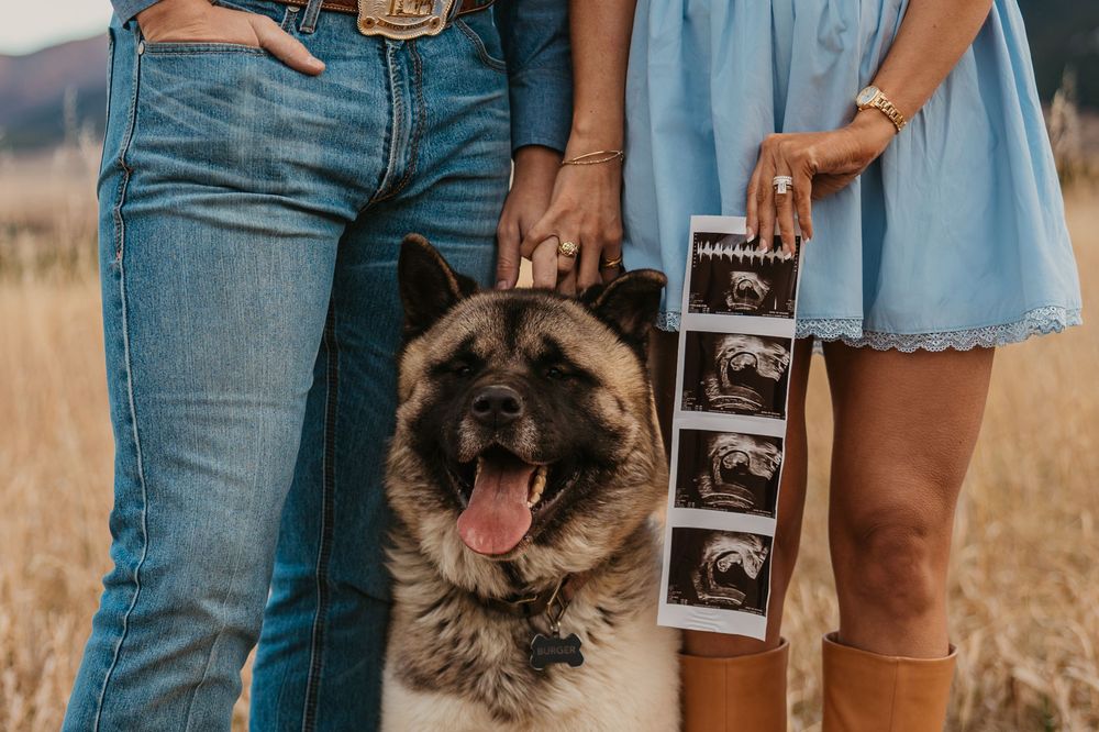 Cowboy holds wife while showing off ultrasound photos with their dog in the mountains of Red Lodge, Montana captured by Montana Photographer
