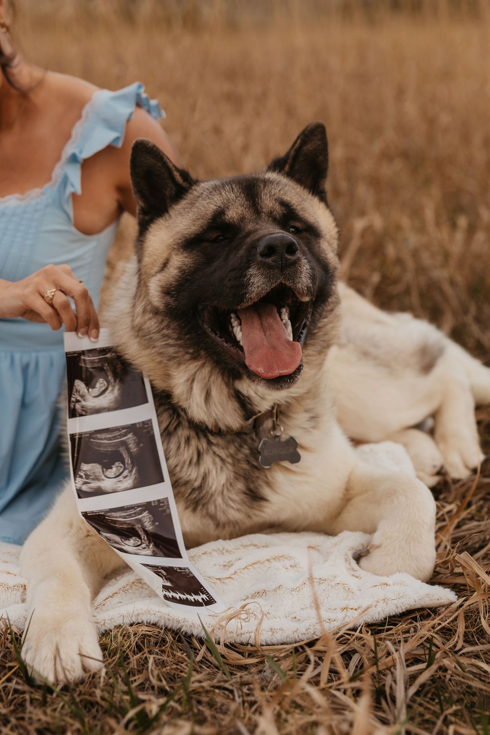 Couple cuddling shows off ultrasound photos with their dog in the mountains of Red Lodge, Montana captured by Montana Photographer