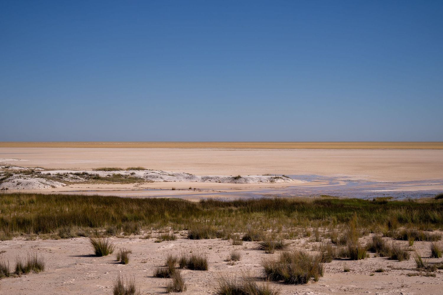 Vast arid salt flat landscape with sparse green shrubs, sandy terrain, and a clear blue sky in a remote desert region.