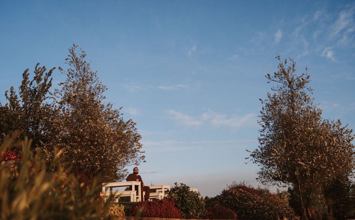 Couple posing between olive trees under a blue sky at their outdoor wedding venue.