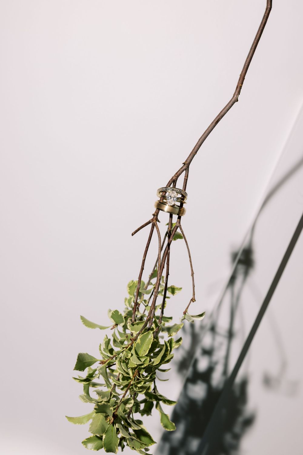 Wedding rings tied with twine on a rustic branch with green leaves against a white background.