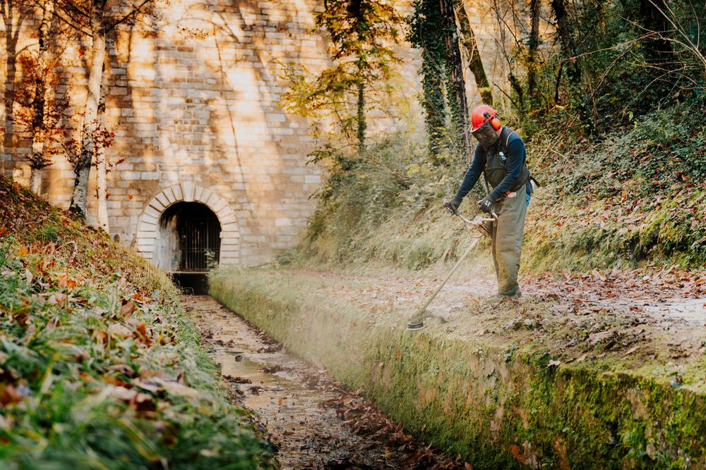 Photographe professionnel Toulouse: débroussaillage de la végétation autour du canal du midi, ambiance automnale.