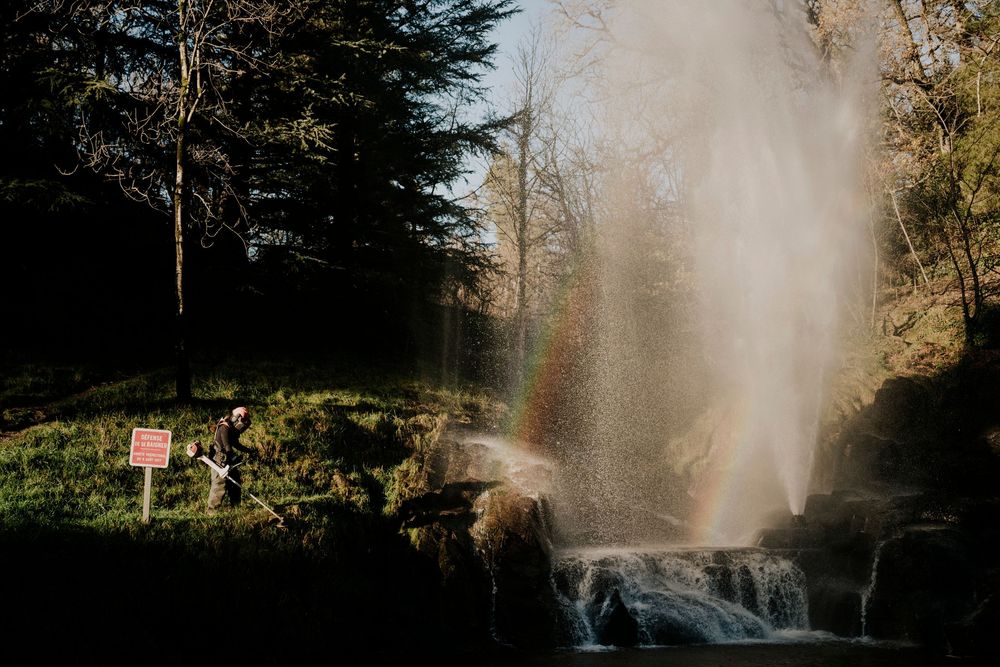 Photographe professionnel Toulouse: La lumière du soleil traverse les arbres et  l'eau, créant une atmosphère brumeuse
