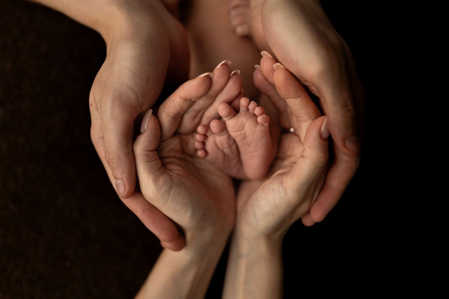 Close-up artistic photo of tiny baby feet cradled in adult hands against dark background.