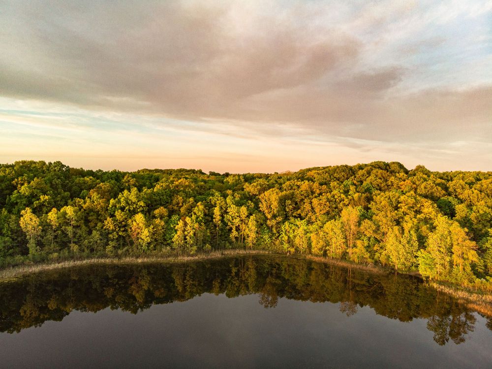 Panoramic sunset view over forested hills with golden light illuminating treetops.