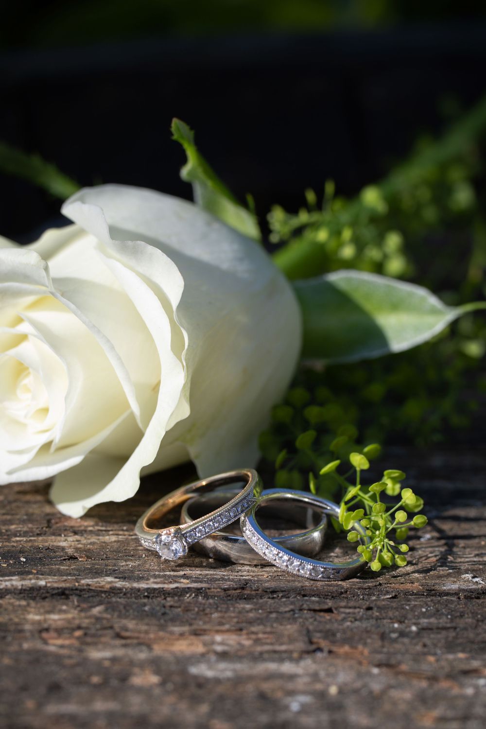 Wedding bands and an engagement ring rest on rustic wood with delicate white roses and greenery.