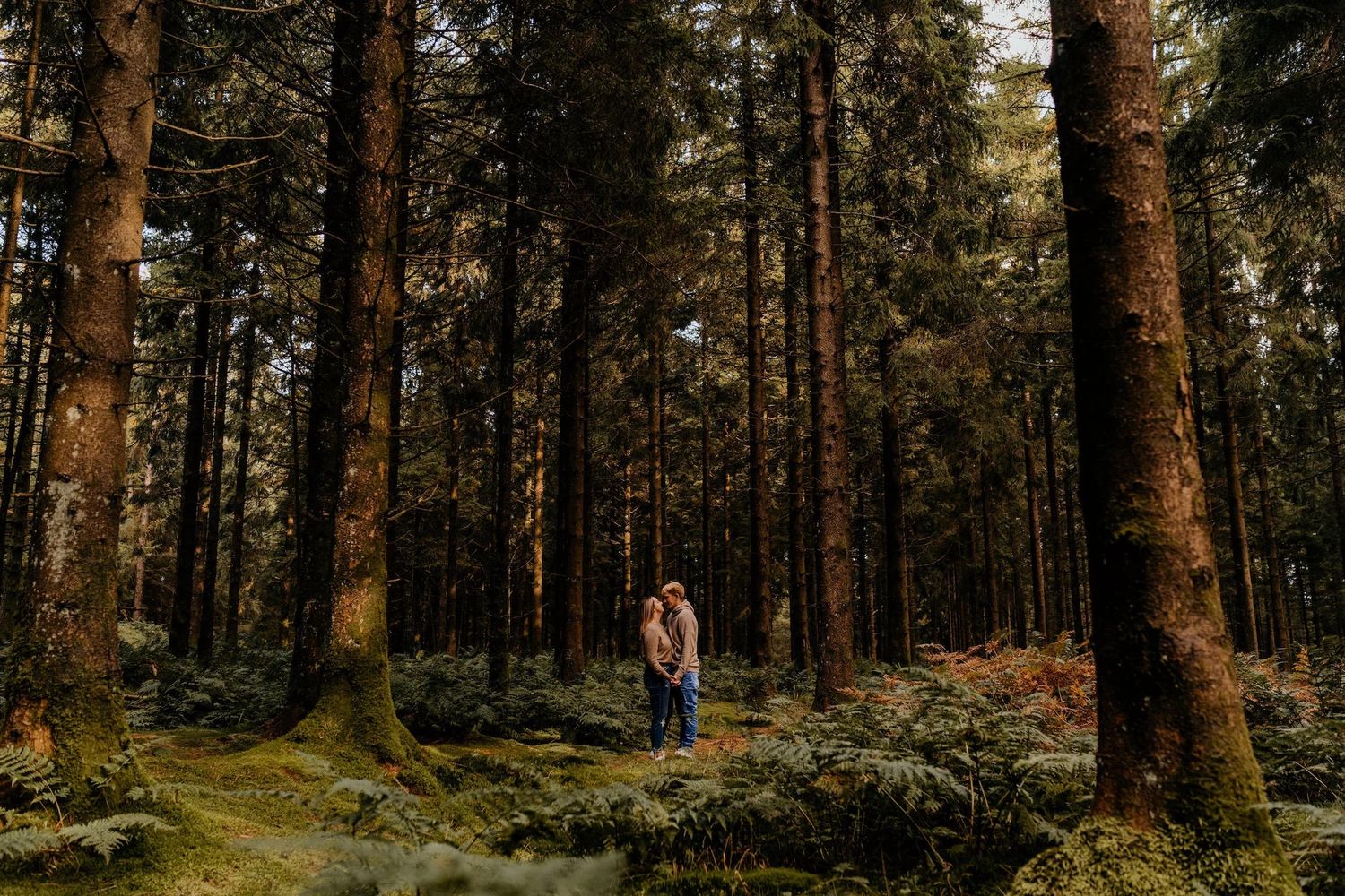 Pine forest wedding photography location with tall trees creating a natural cathedral effect.