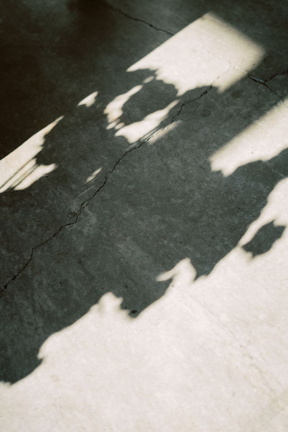 Abstract shadows cast on a concrete floor creating dramatic light and dark patterns.