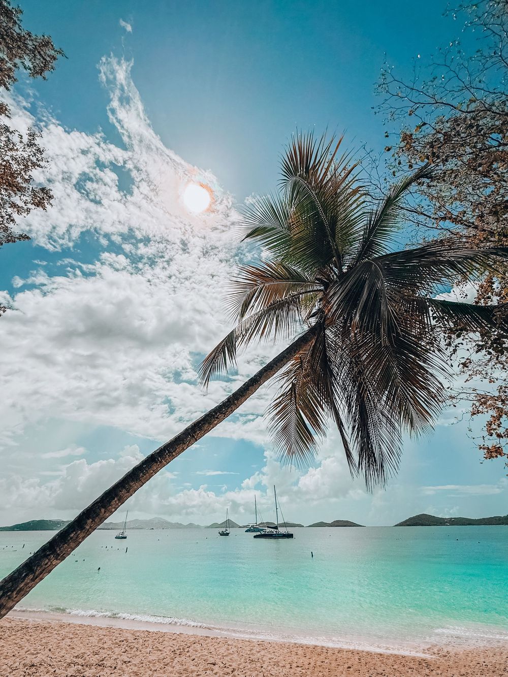 Palm trees lean over turquoise water on tropical beach with boats in distance.