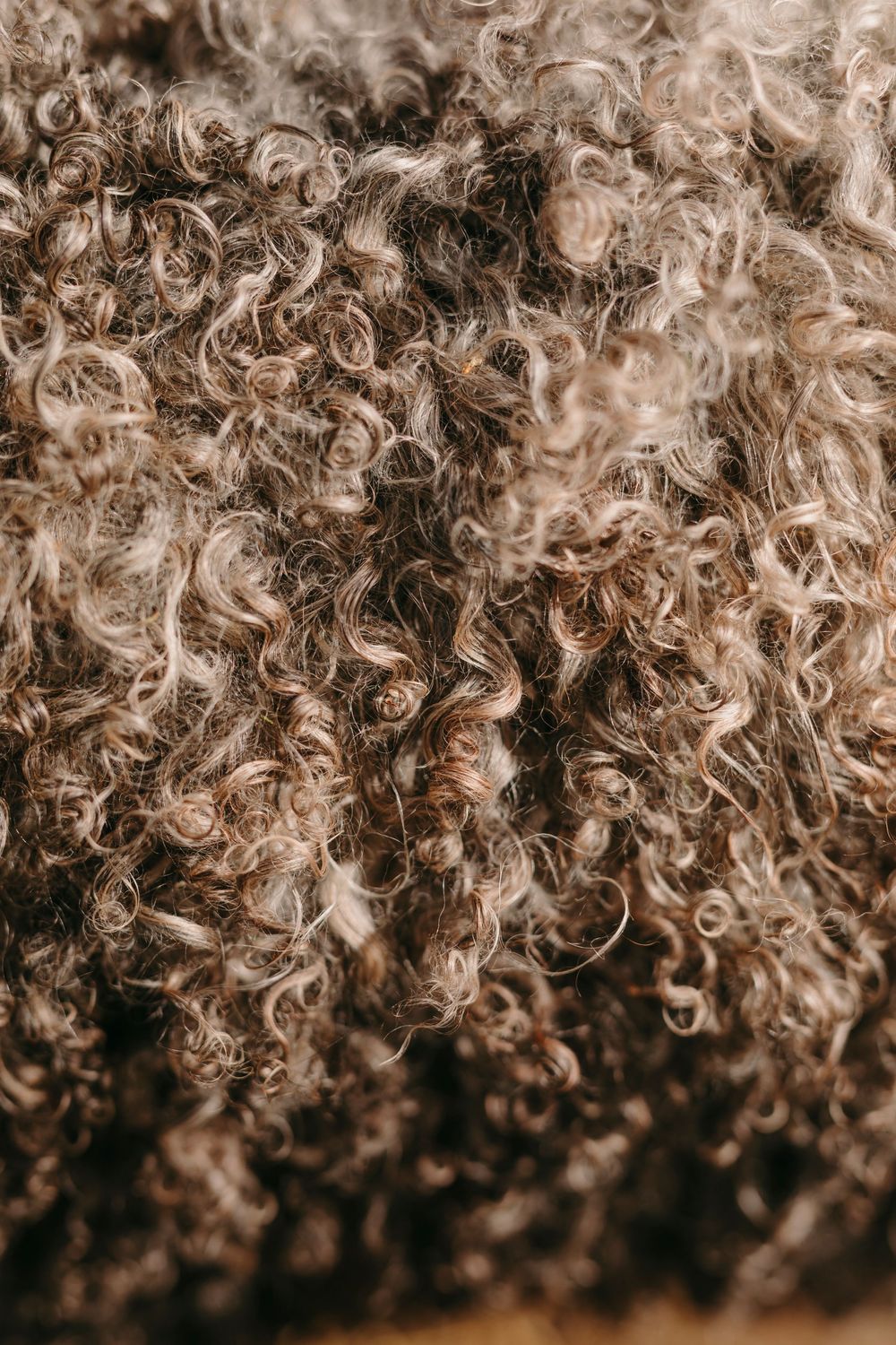 Extreme close-up macro photograph of natural tightly coiled brown curly hair texture in sepia tones.