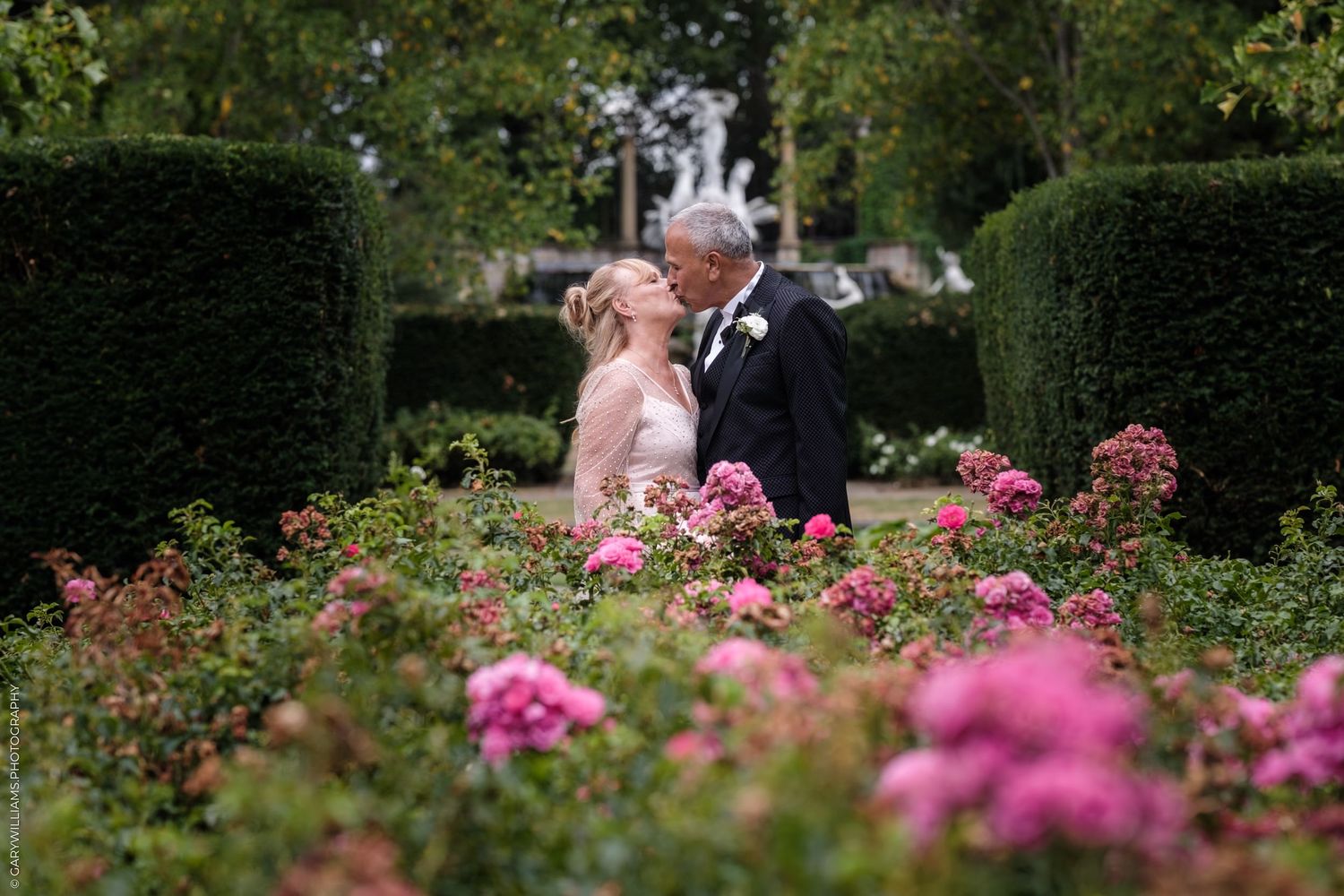 A couple shares a romantic moment in a beautiful rose garden surrounded by pink blooms and manicured hedges.