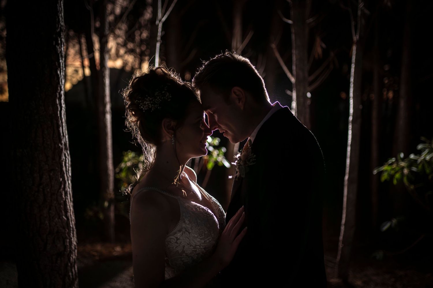 Romantic silhouette of a couple embracing in a forest with backlit golden sunlight filtering through the trees.