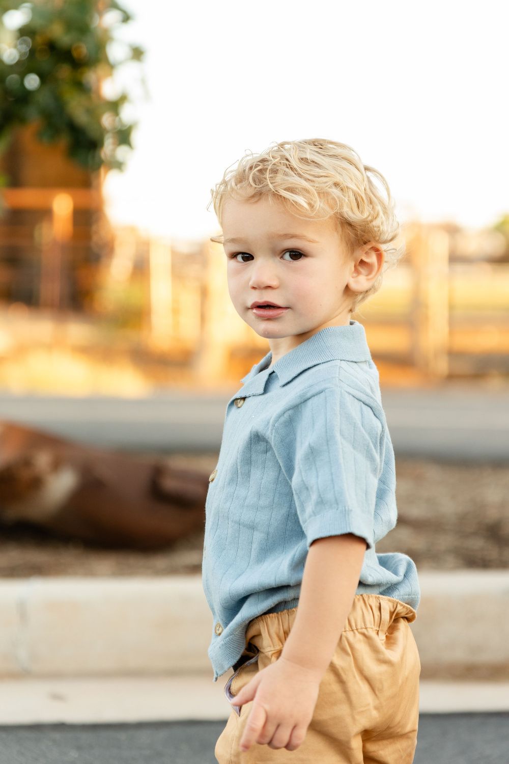 a portrait of a blonde haired blue eyed 2 year old boy in a a dusty blue shirt with a farm blurred in the the background