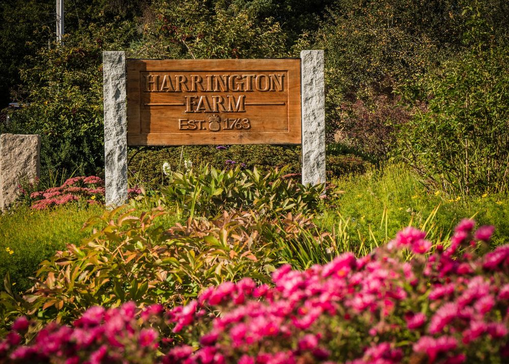 Pink azalea flowers bloom vibrantly along a rustic wooden fence with a Tarpington Farm sign in the background.