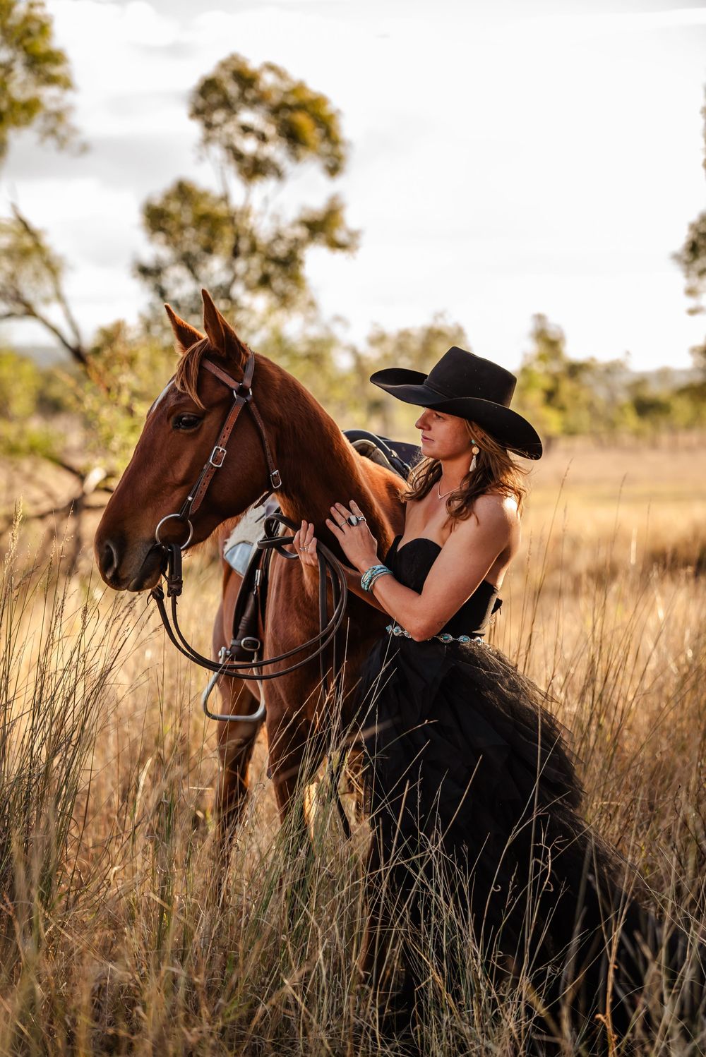 A trio of professional equine photos shows a horse and rider silhouetted in a golden field during sunset.
