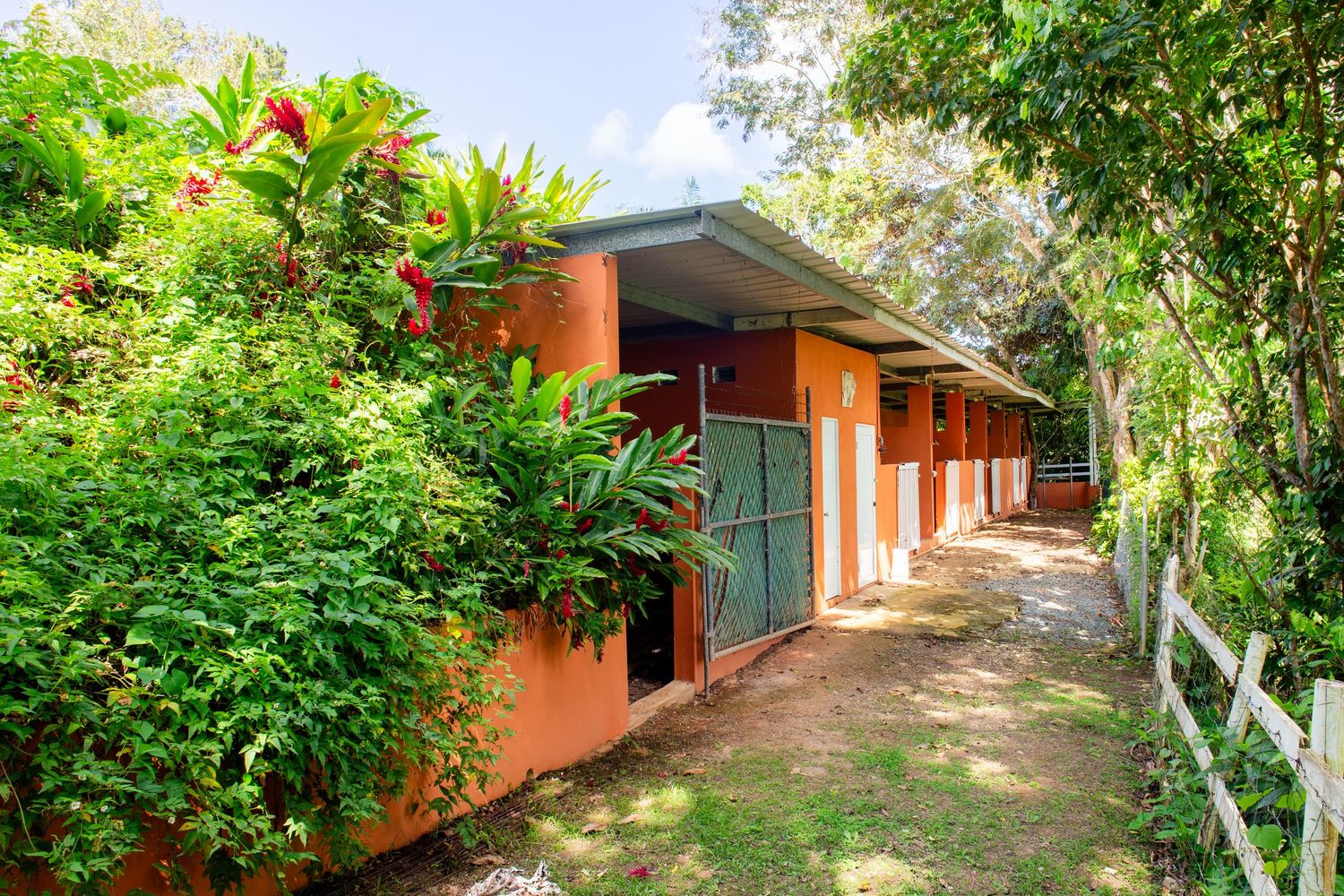 Real estate photo for a short-term rental in Aguas Buenas, Puerto Rico. Stables.