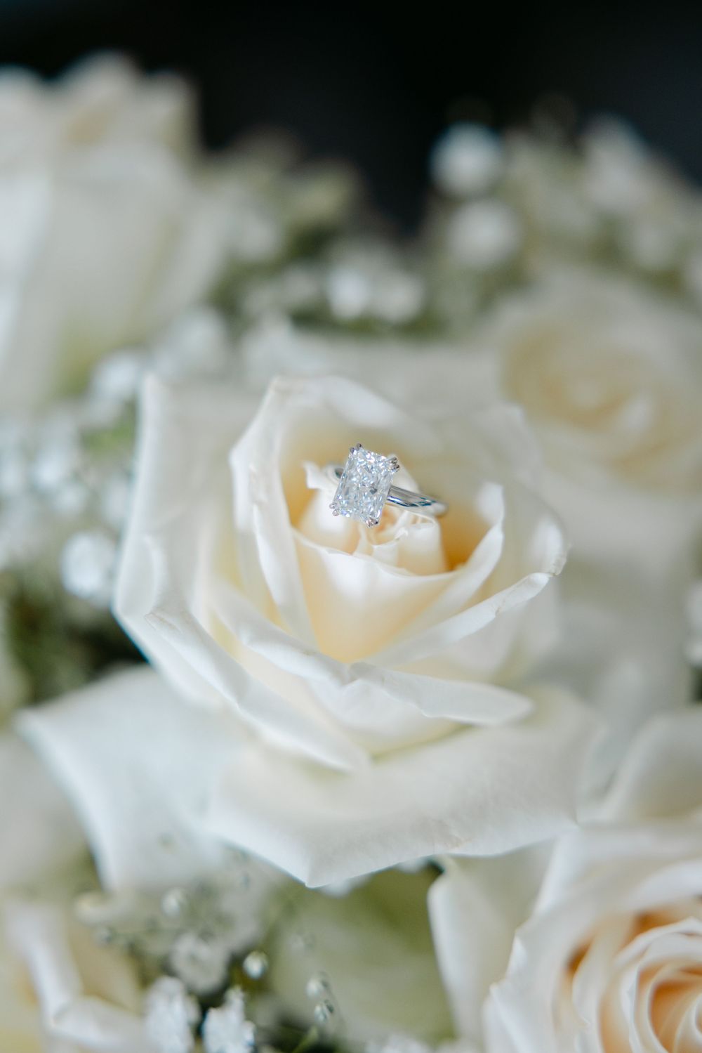 Close up view of white roses with a sparkling diamond engagement ring nestled among the petals.