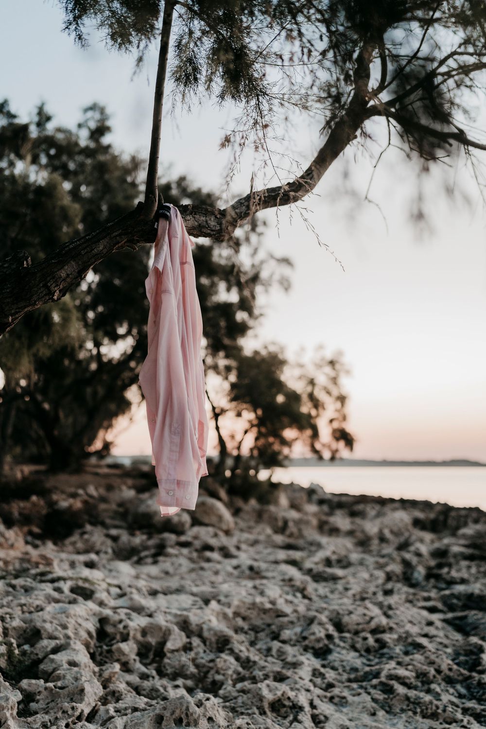 Pink garment hanging from tree branches against a coastal sunset backdrop.