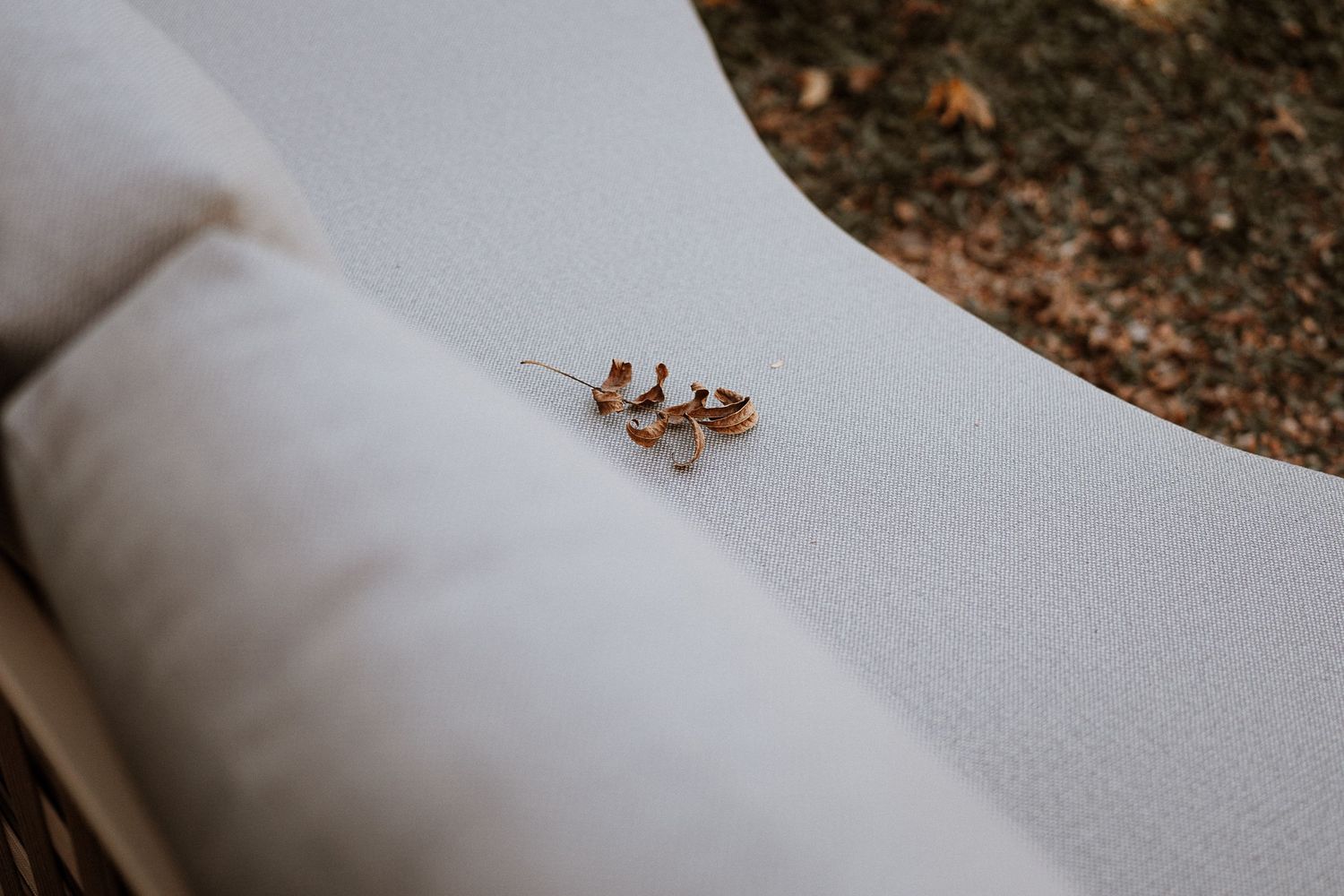 Small decorative leaf resting on white fabric surface.