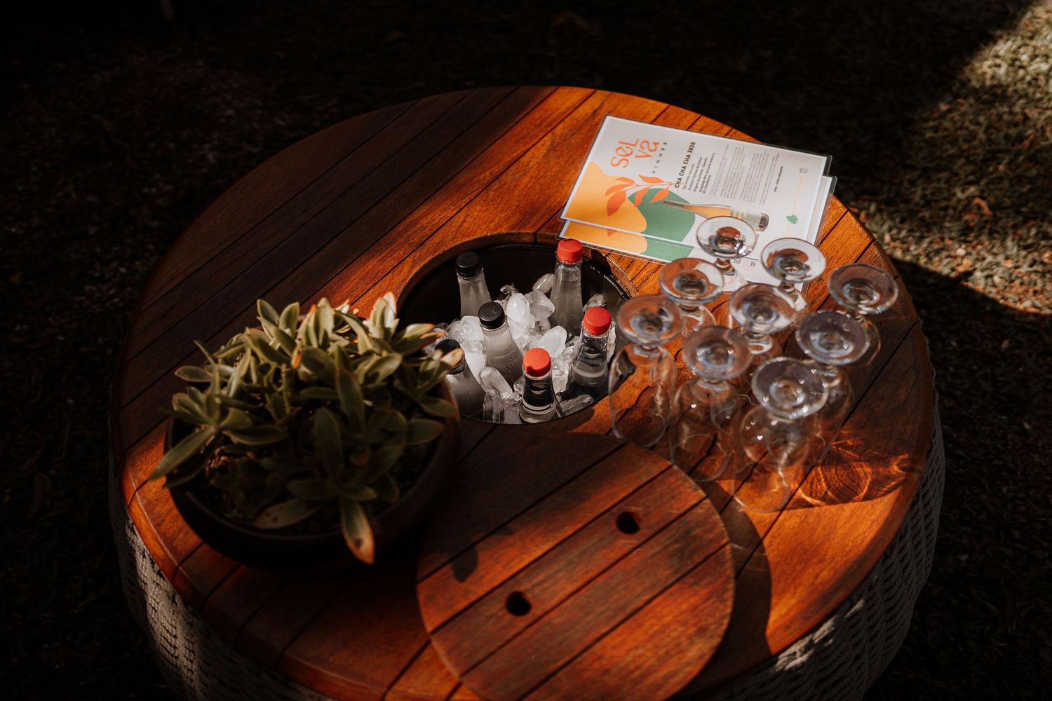 Rustic wooden table with wine glasses and small potted plant in natural lighting.
