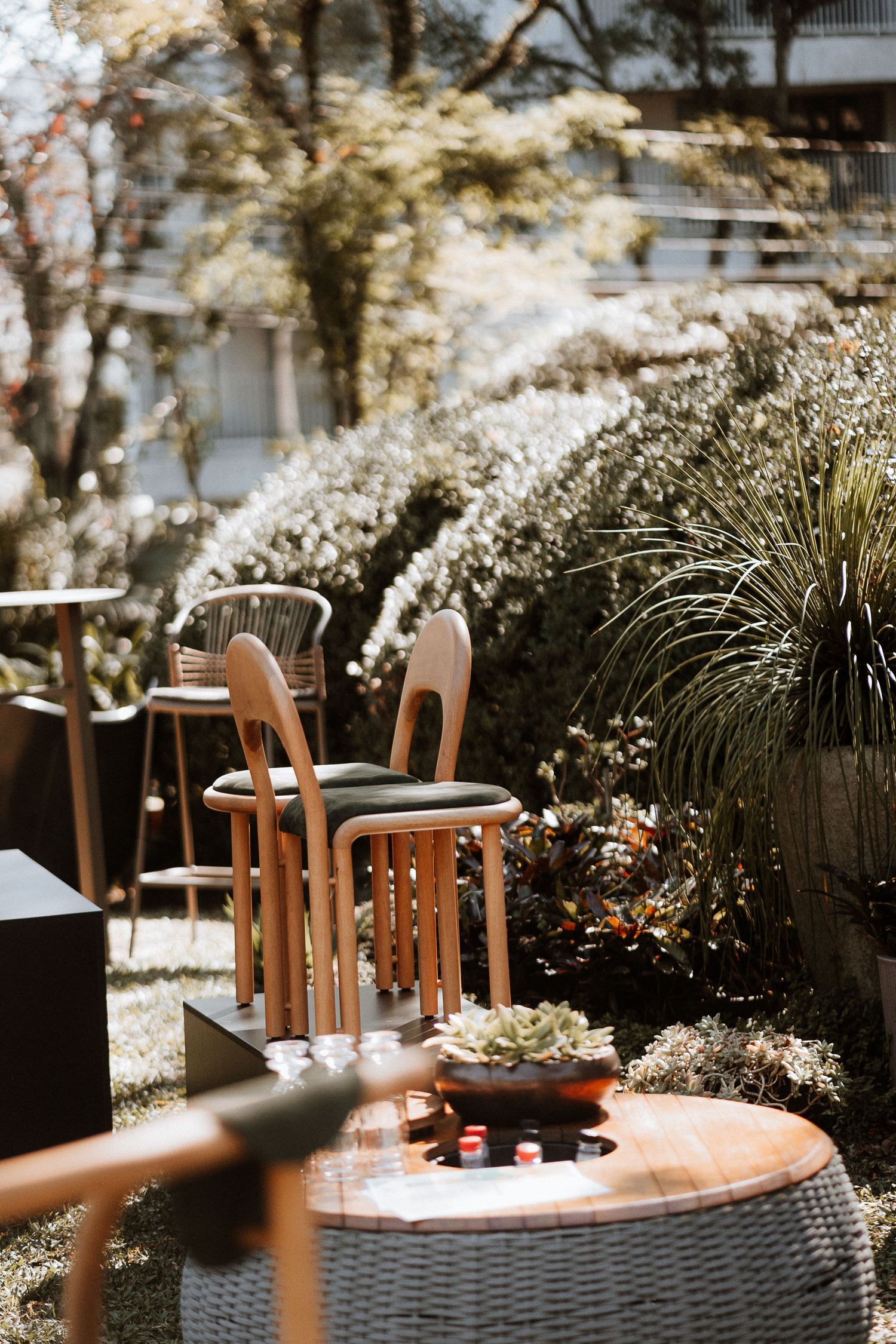 Outdoor seating arrangement with wicker furniture and delicate white flowers in a garden setting.