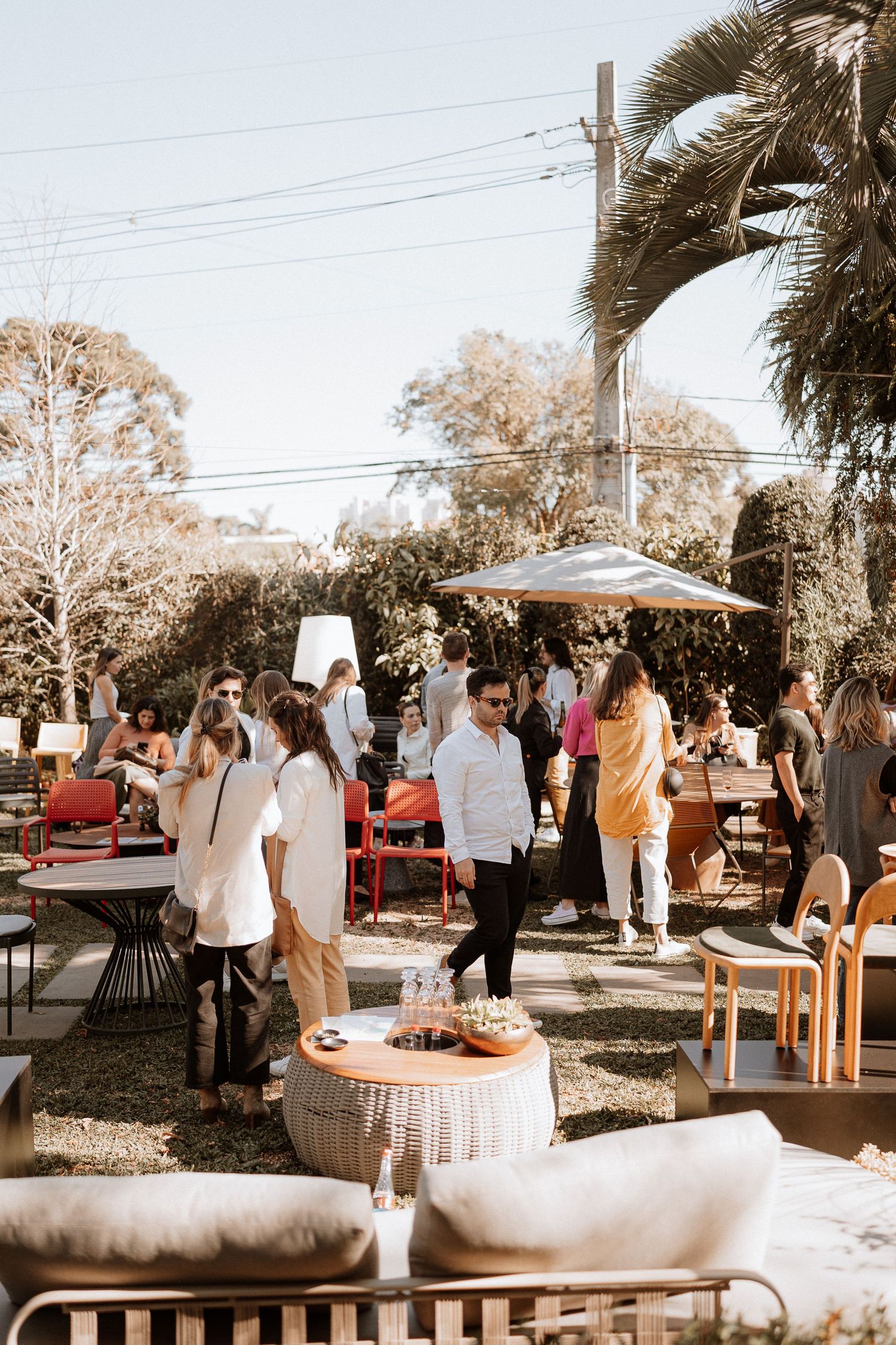 Outdoor gathering with people mingling under palm trees and string lights at a casual event.
