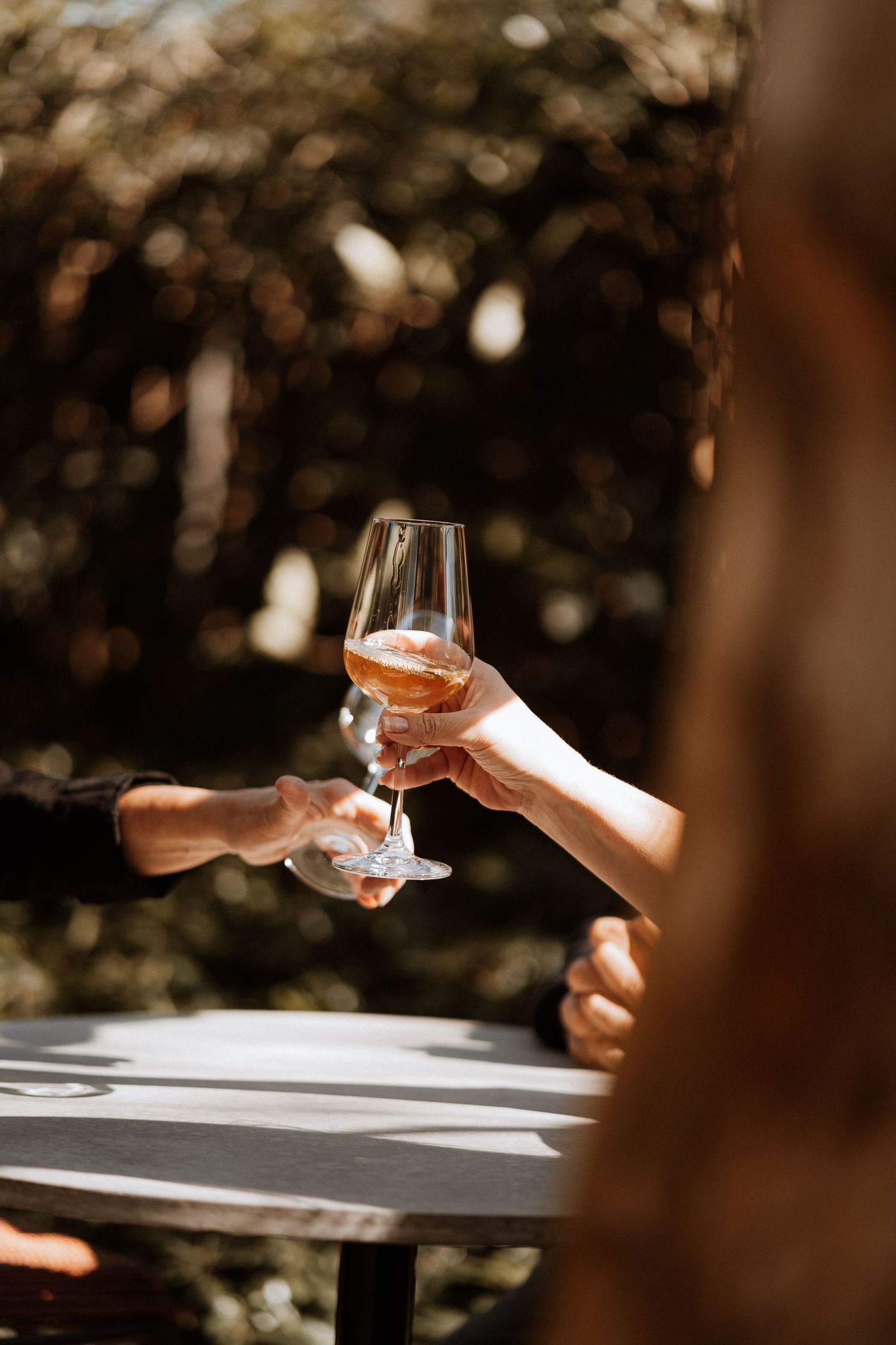 Two hands clinking wine glasses together in warm natural lighting.