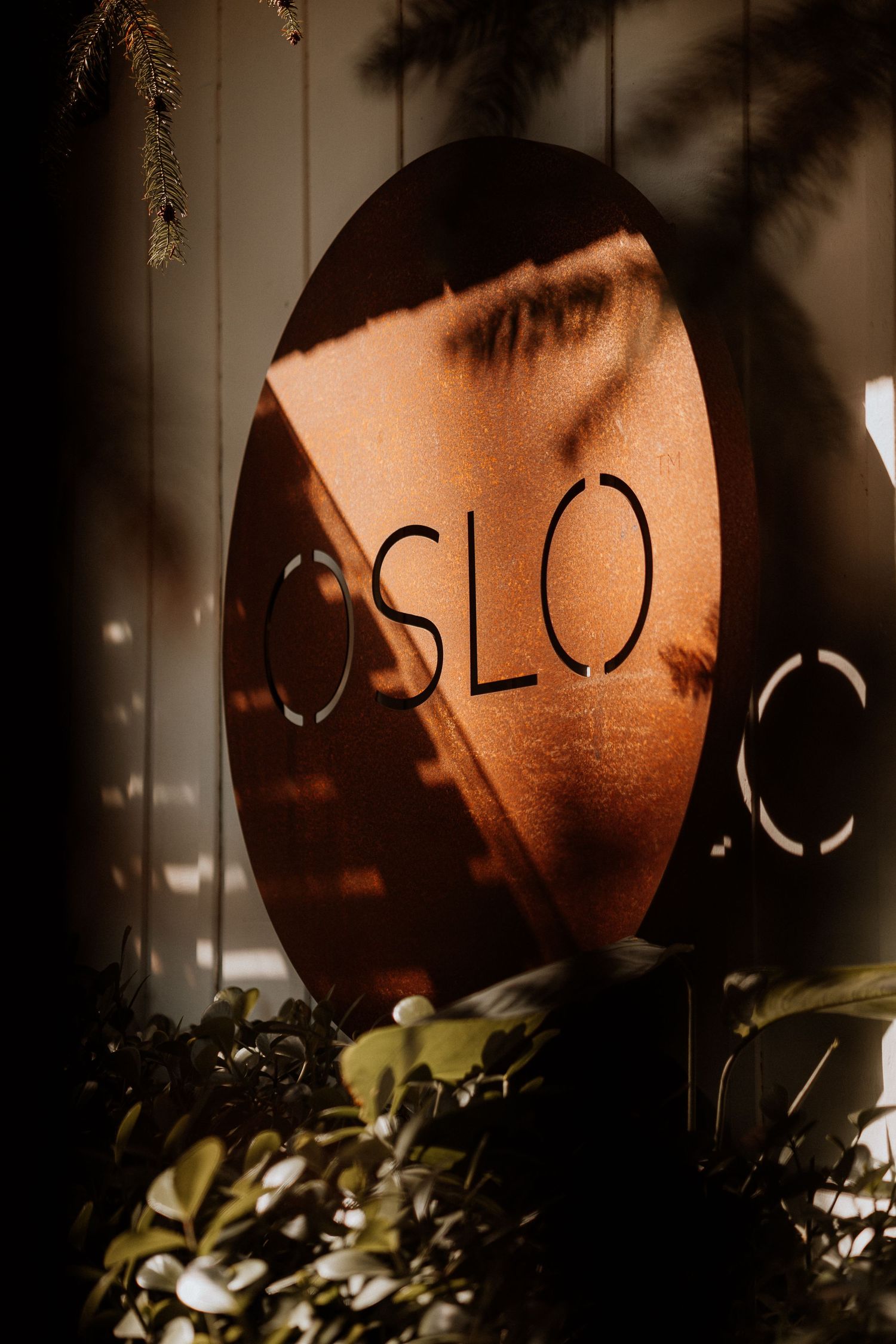 Oslo sign illuminated with shadows and greenery in moody lighting.