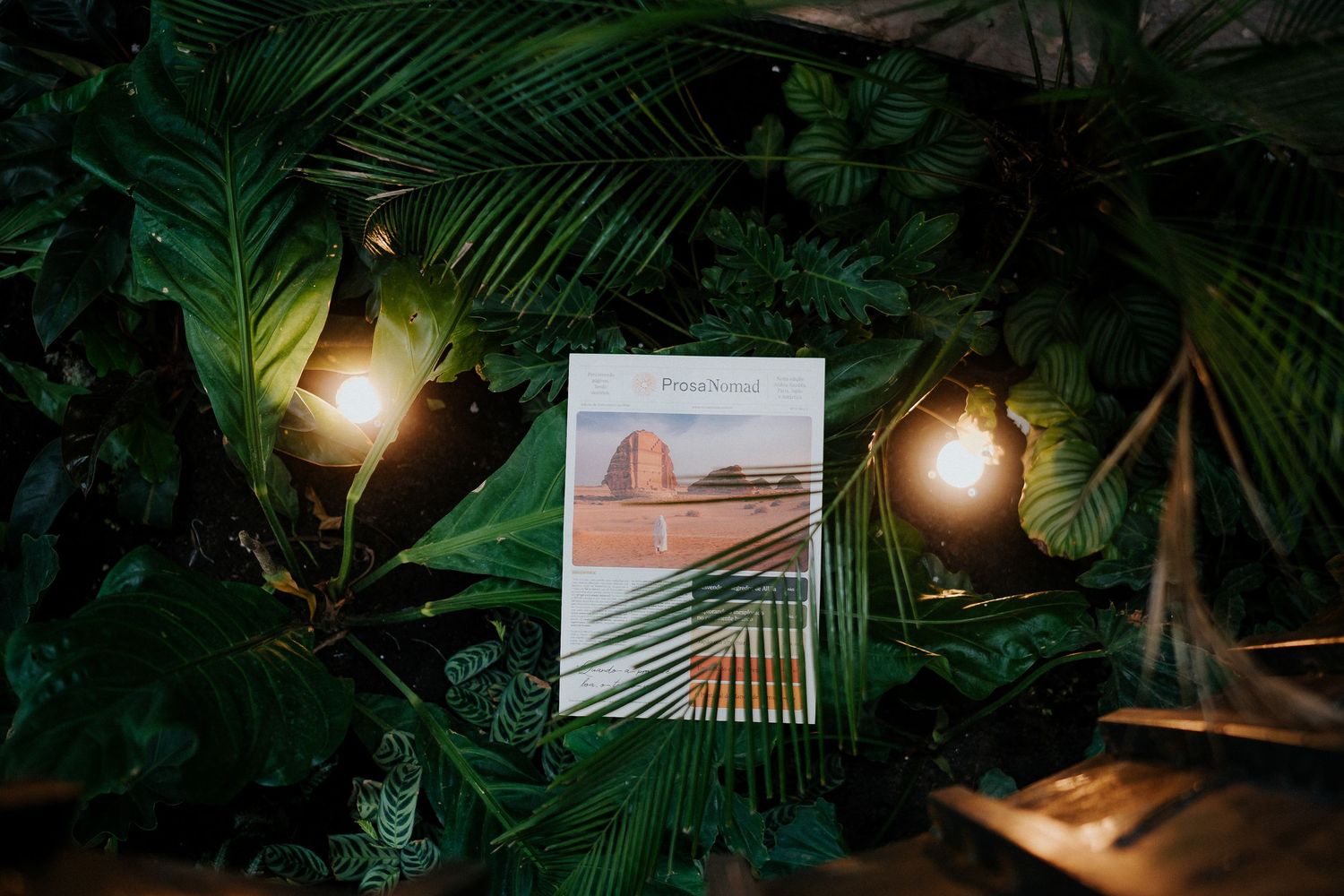 Atmospheric photo of a book display among palm fronds with warm lighting and decor.