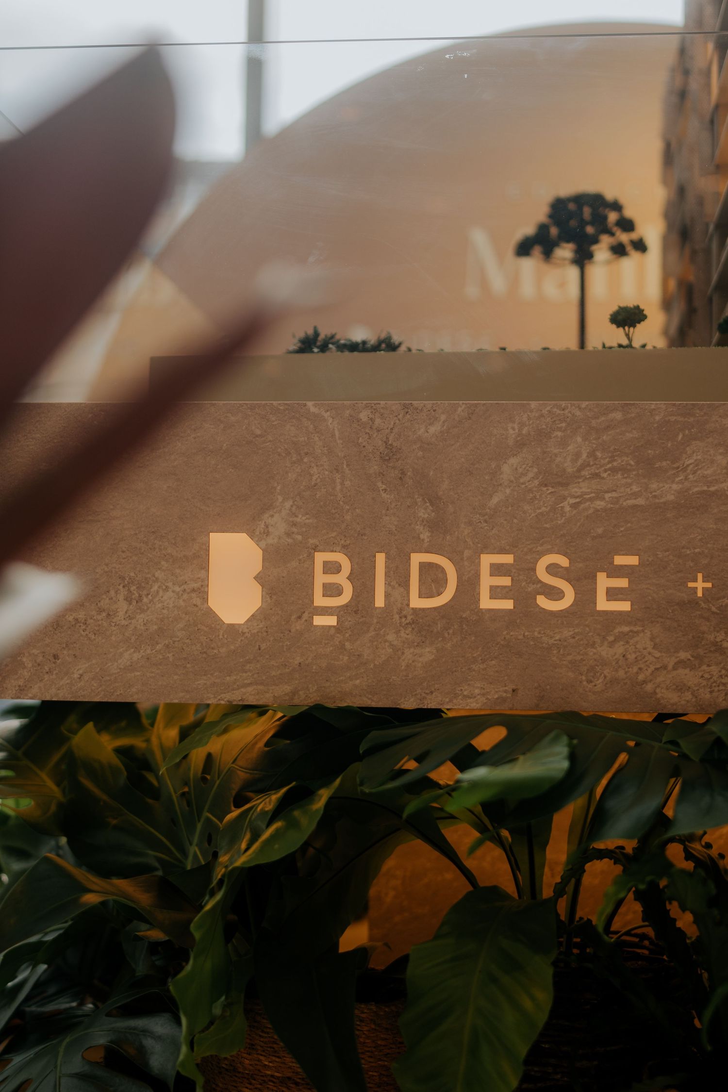Modern office branding with Bidese logo integrated with lush green plants.