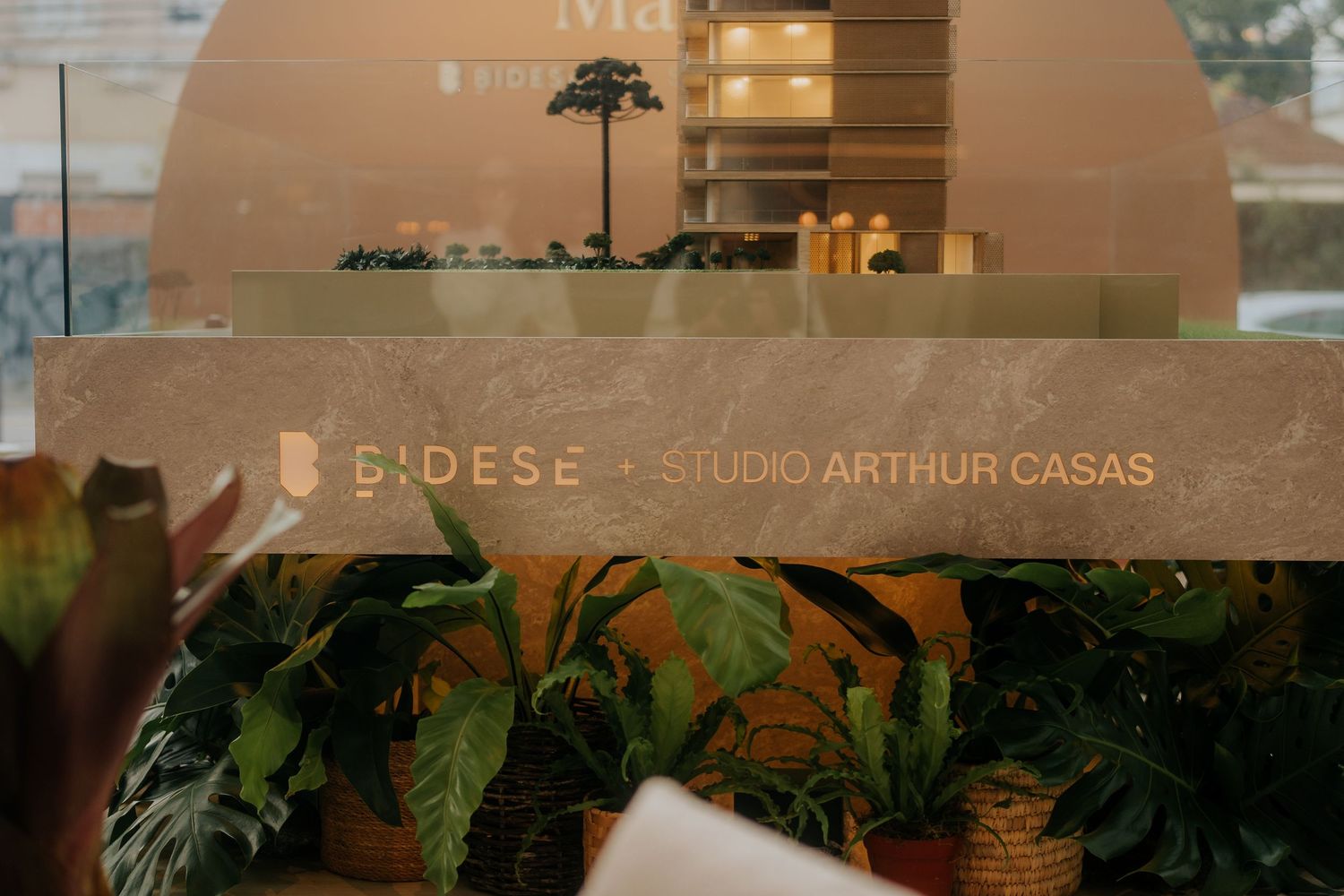 Interior view of a minimalist office space with curved walls and natural lighting.