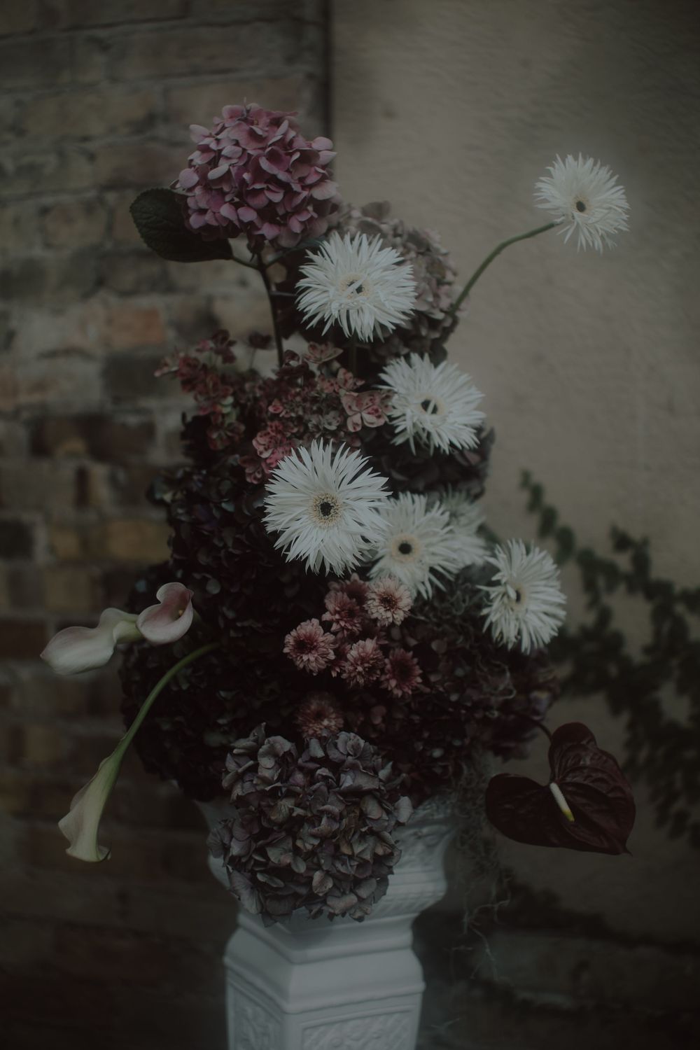 Moody floral arrangement with white daisies and pink hydrangeas in a white vase against dark textured wall.