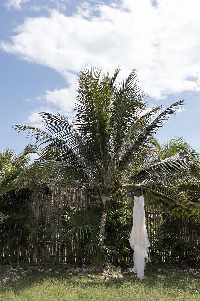 Palm trees and tropical foliage line a backyard fence under a bright blue sky with white clouds.