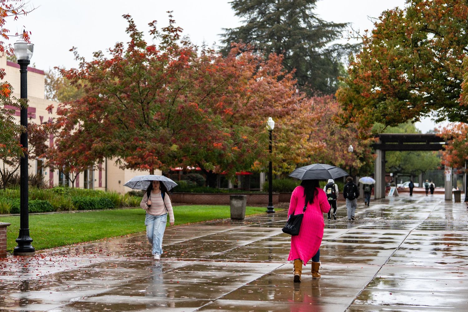 People with umbrellas walk along a tree-lined path on a rainy autumn day at a college campus.