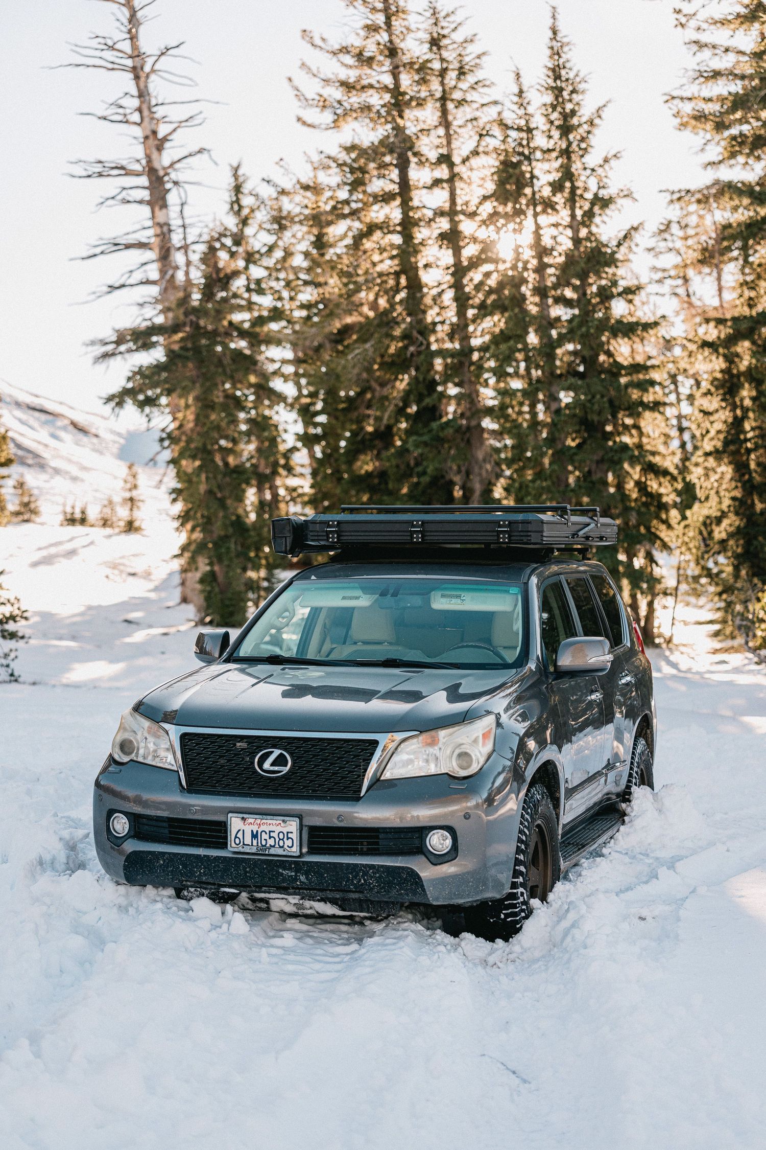 A black Lexus SUV navigates through deep snow in a winter forest landscape with evergreen trees at sunset.