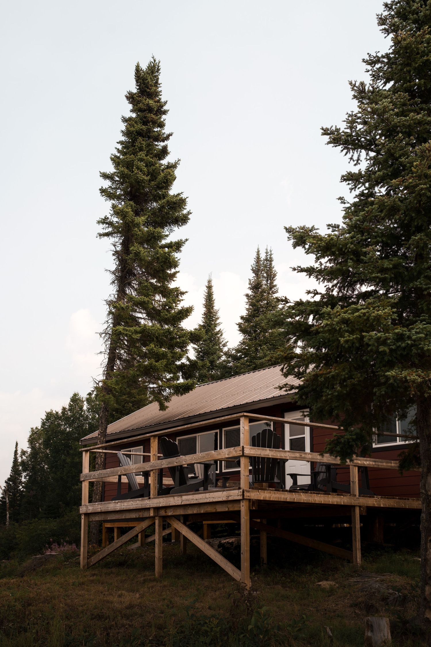 Rustic wooden cabin with a large deck nestled among tall pine trees on a hillside.