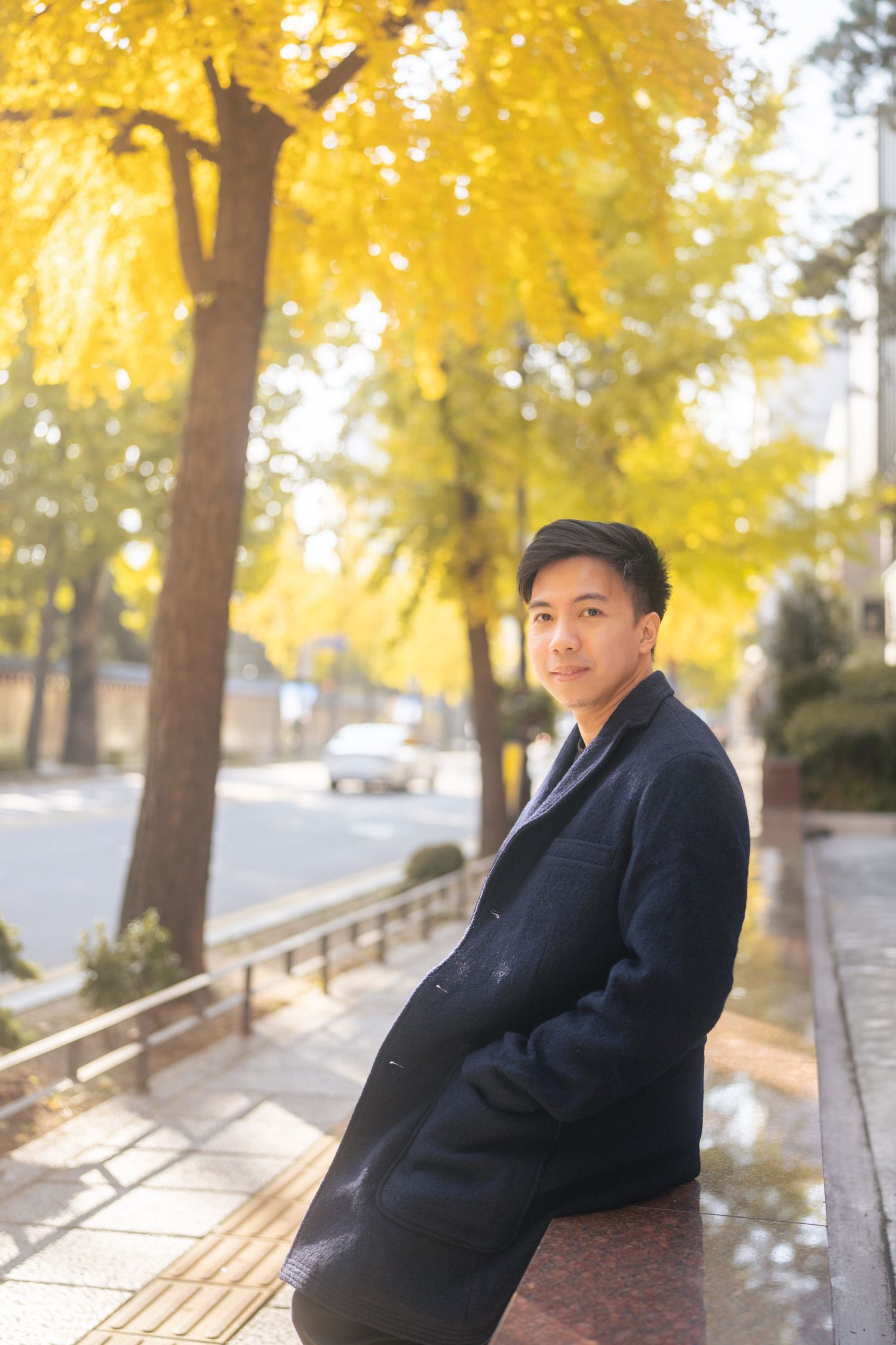 A person in a black coat sits on a ledge against a backdrop of golden autumn trees on a city street.