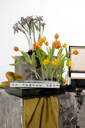 Yellow tulips arranged in modern vases on a concrete ledge create a minimalist spring display.