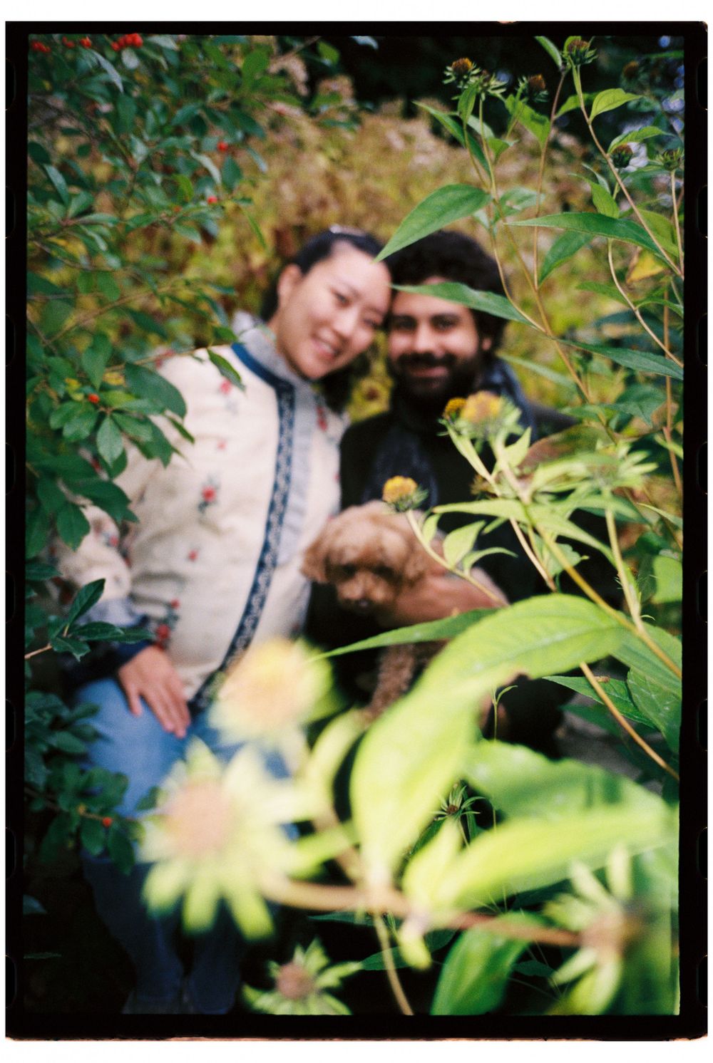 Couple holding their small dog in the wildflowers in a garden during an early October maternity photoshoot on film in Southern Maine.