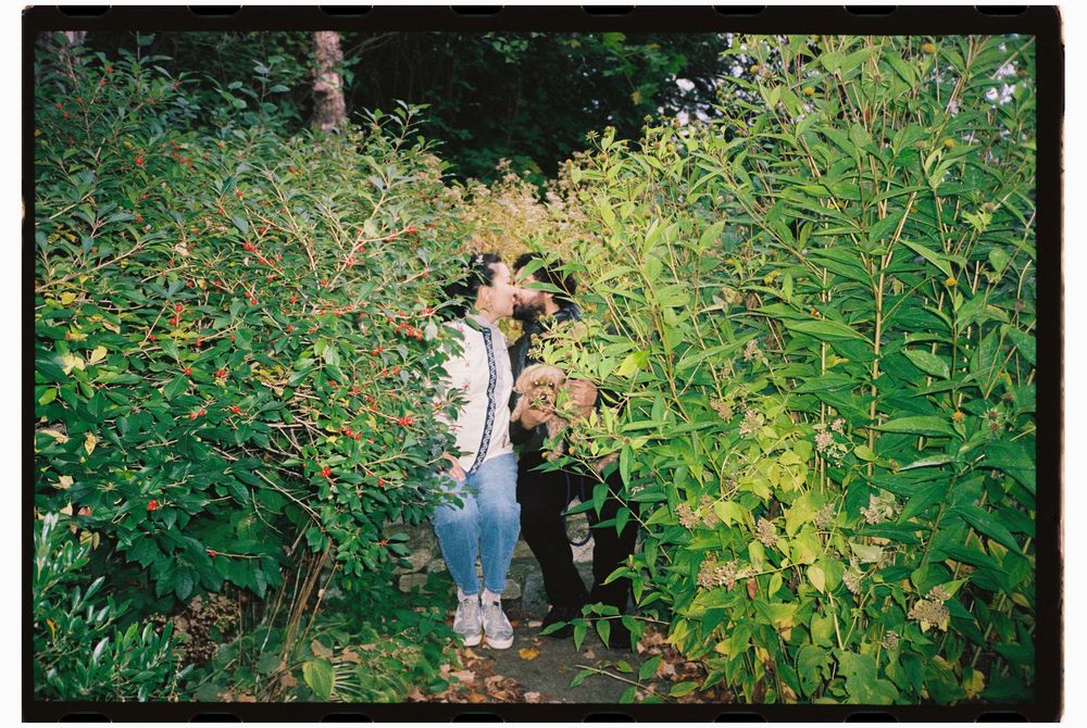 Couple kisses while holding their puppy in the overgrown wild flowers in a small garden on color film during a mini-moon photoshoot in Maine
